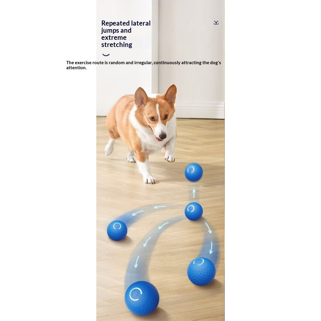 Boule de jouet électrique interactive pour chien gravitationnelle pour self-play