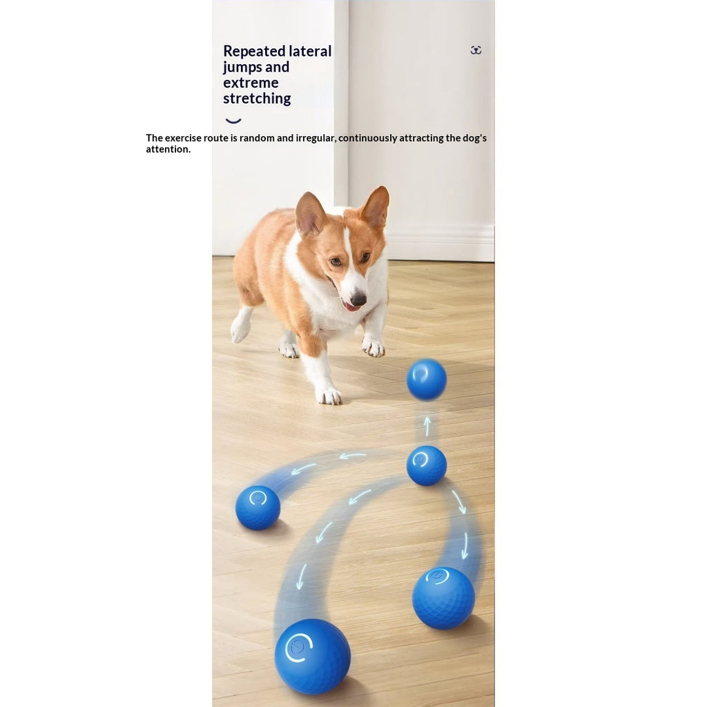 Boule de jouet électrique interactive pour chien gravitationnelle pour self-play