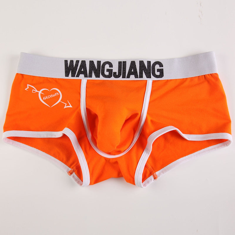 Sous-vêtements pour hommes Boxers Low Waist Coton U Convex Trunk Mode Sexy Boxers pour hommes