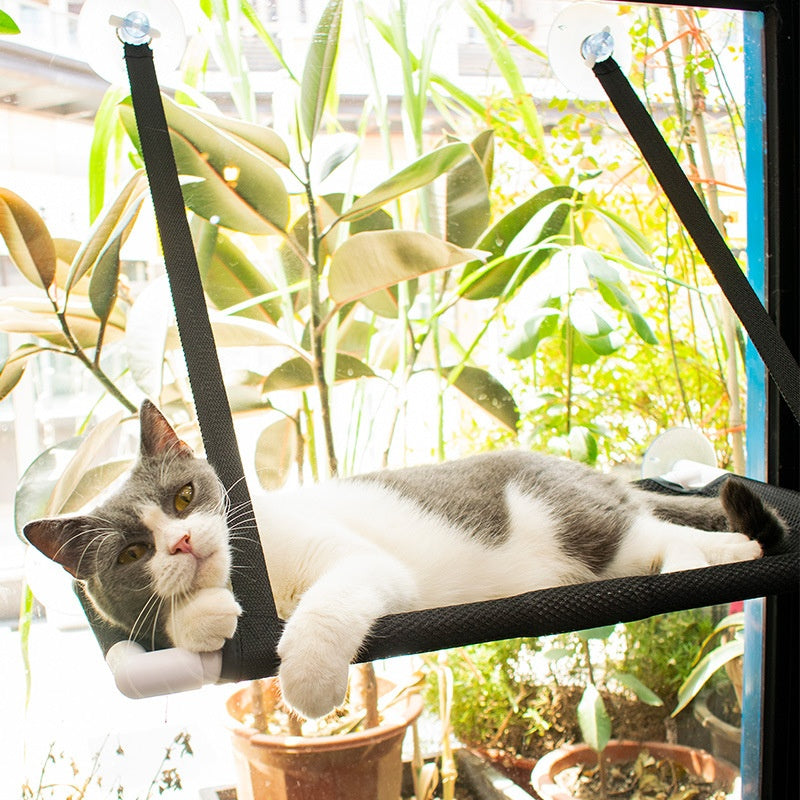 Four Seasons Cat Hammock Window Cat Nest Sucker Pending
