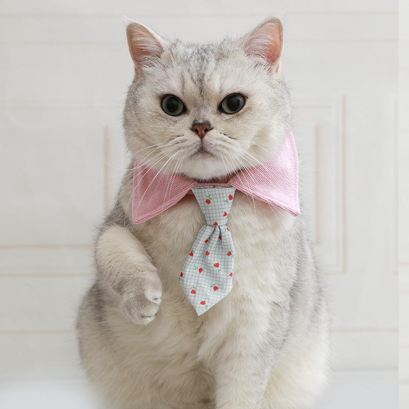 Collier mignon de chat de chat Bow en plusieurs styles