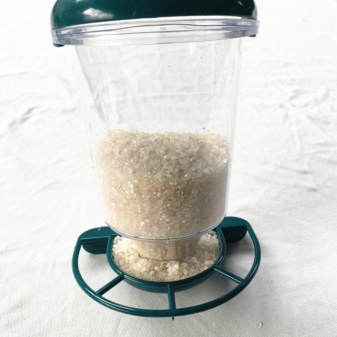 Type de suspension plastique transparent Automatique Bird Feeder avec couverture