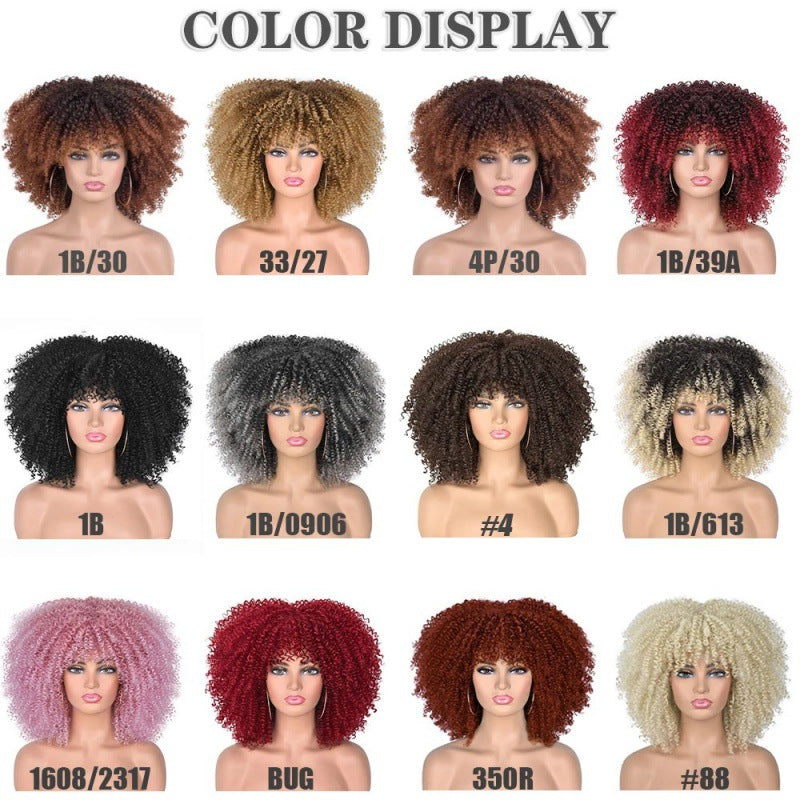 Coiffure africaine pour petites cheveux bouclés