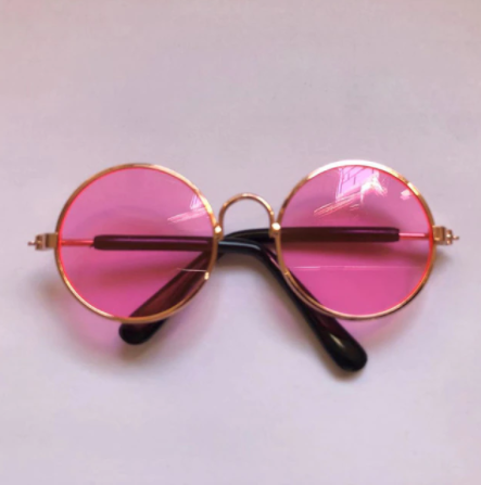 Lunettes de soleil pour chats