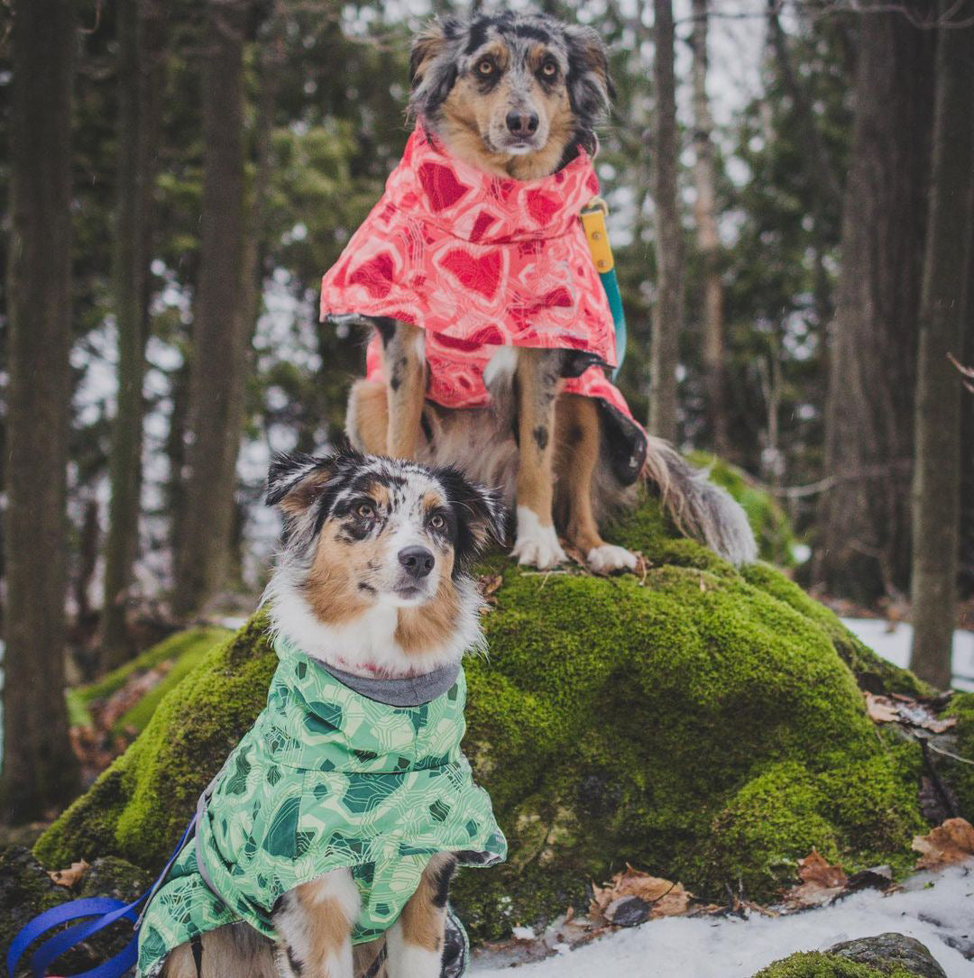 Veste en Coton Grand Chien imperméable à la neige chaude en automne et hiver
