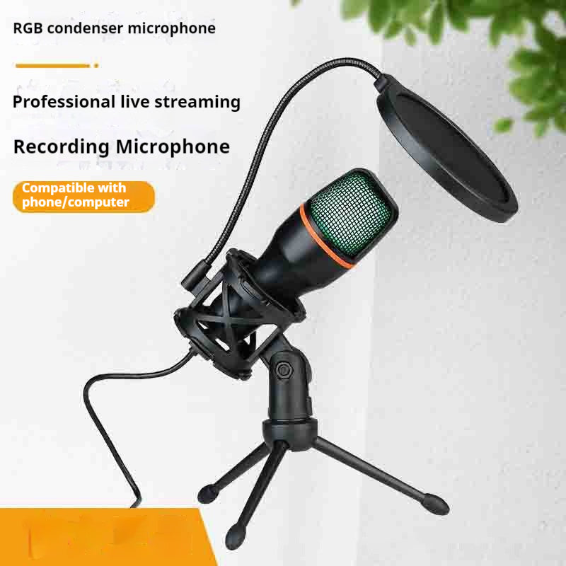 Accueil Informatique Condenseur USB Microphone