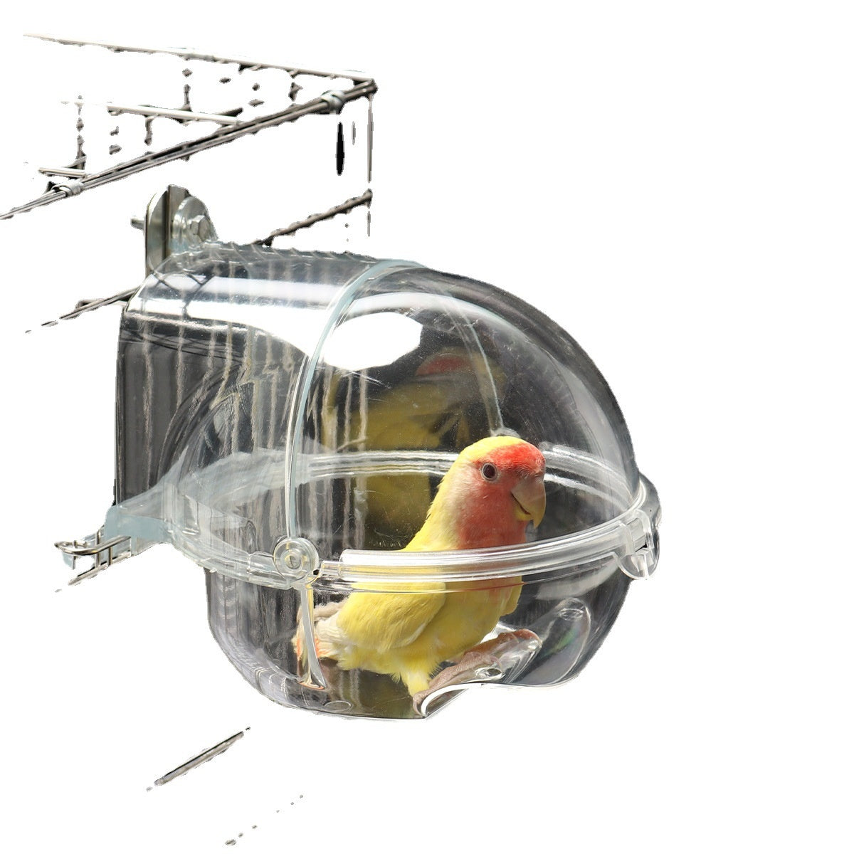 Baignoire pour perroquet pour oiseaux