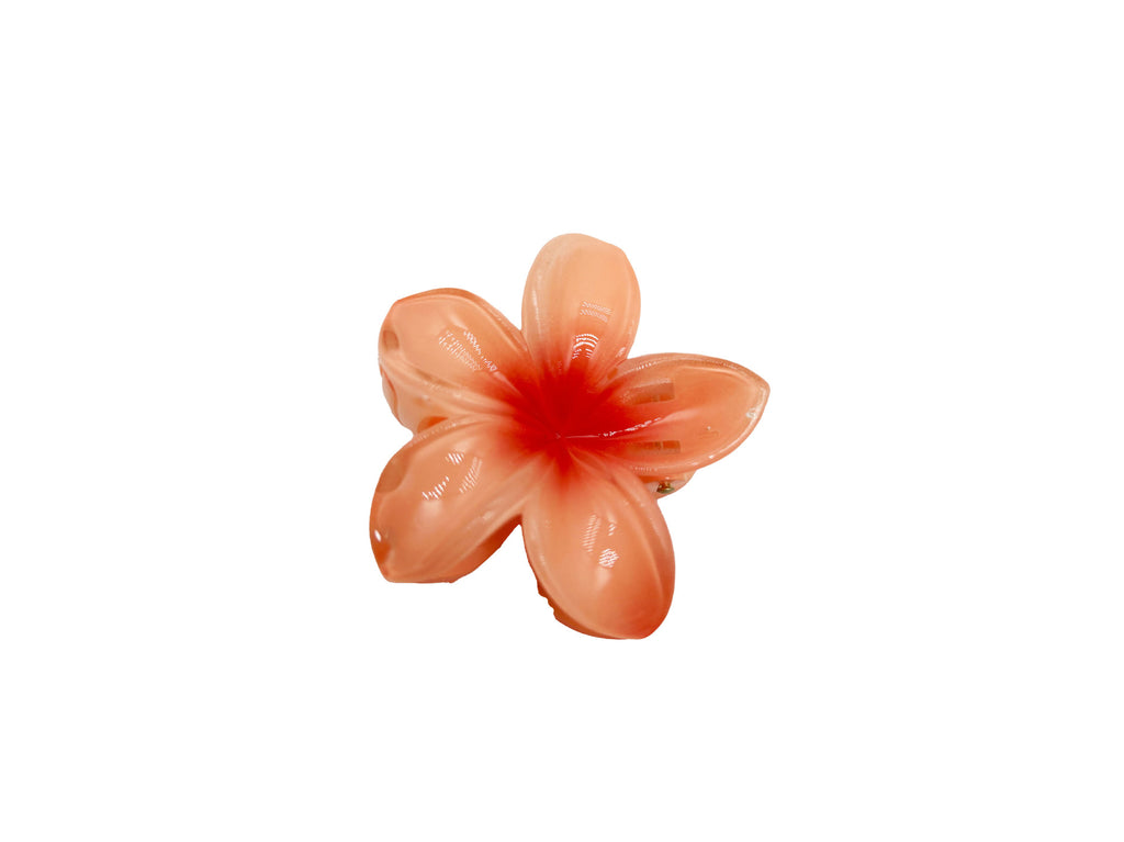 Barrettes de fleurs d'oeufs colorés pour femmes