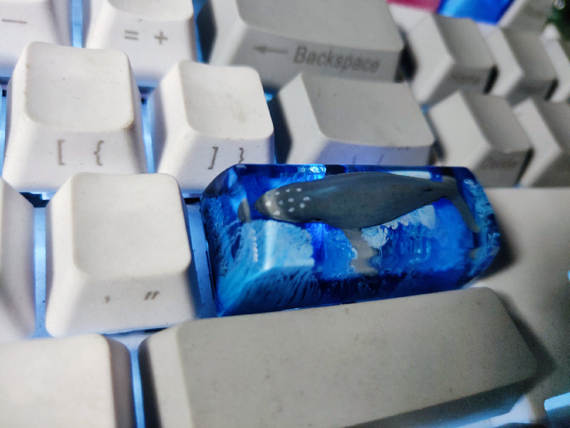 Captures de clés en résine Koi pour interrupteur Cherry Mx