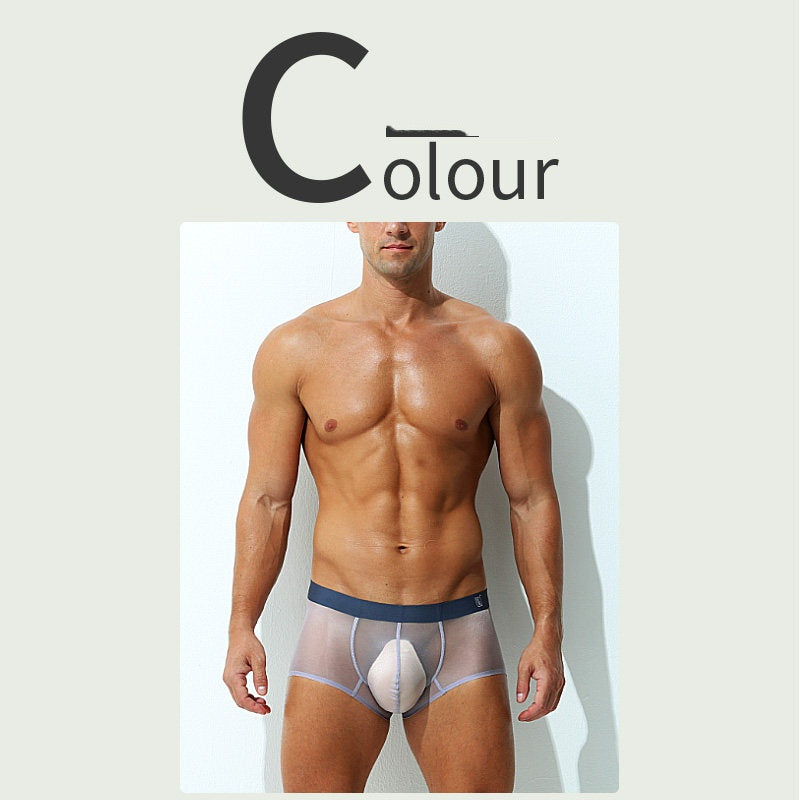 Boxer Slips Ultra-fin Sheer Silk glacé Low-rise Sexy