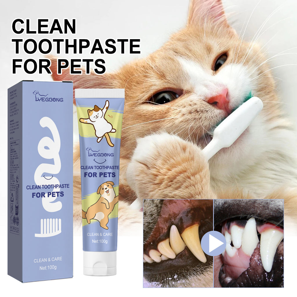 Dog Toothpaste 100ml, daily oral hygiene