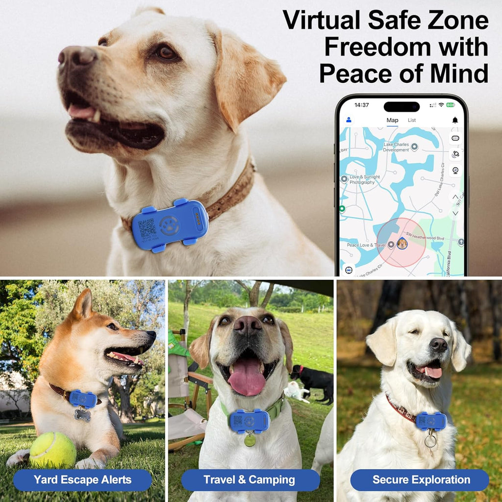 Dog GPS Tracker en temps réel