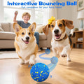 Balle de jouets pour chien bleu