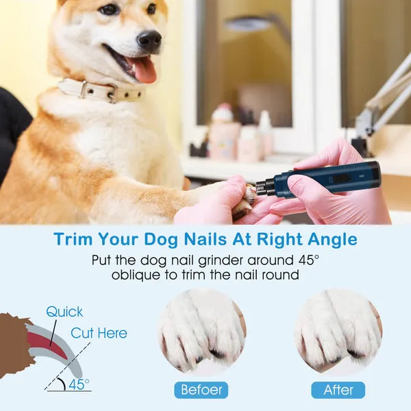 Poignée d'ongle de chien 2 vitesses silencieux USB Rechargeable Pet Poignée d'ongle de chien professionnel