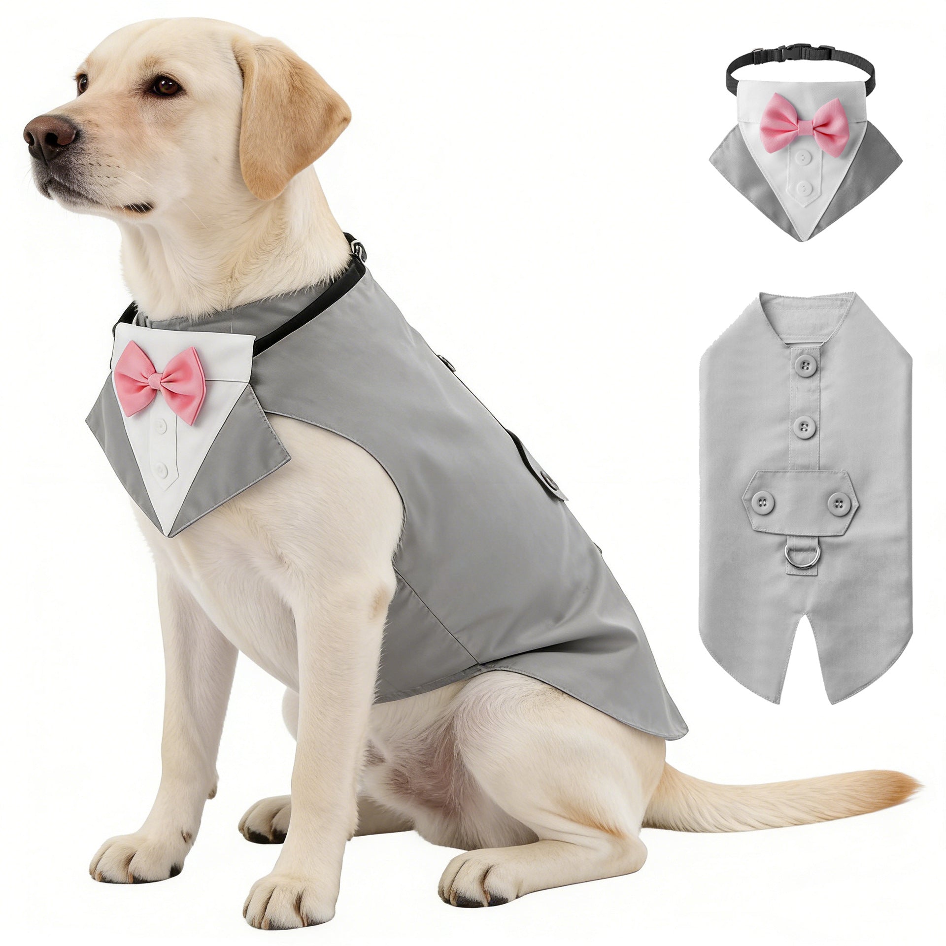 Ensemble de vêtements et d'écharpes pour animaux de compagnie entièrement créatifs