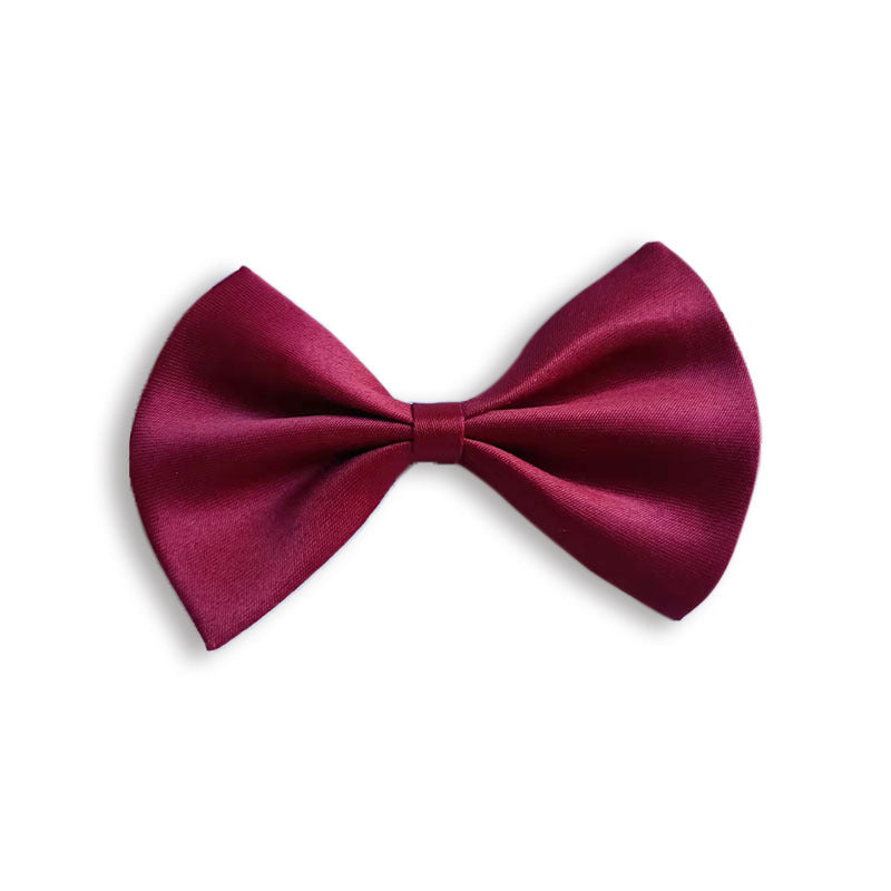 Collier pour animal de compagnie en couleur solide simple