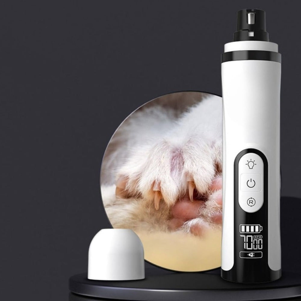 Lime à griffes électrique pour chien, kit avec 2 embouts de ponçage