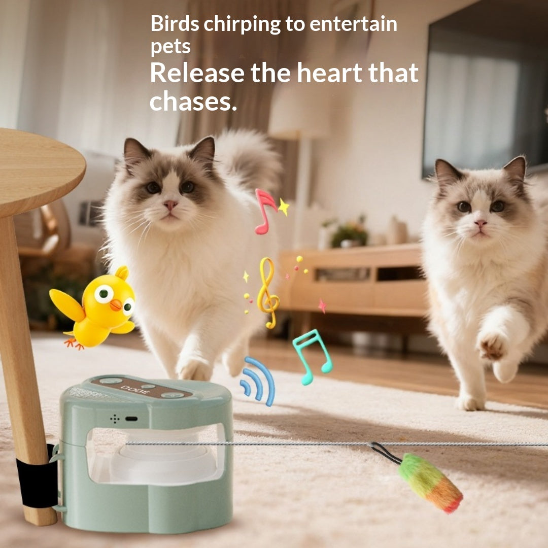 Jouet électrique interactif pour chat