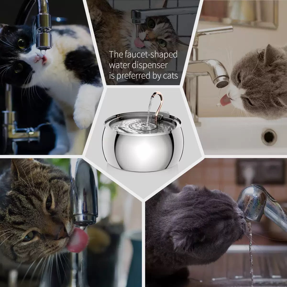 Chat buvant d'un robinet en acier inoxydable