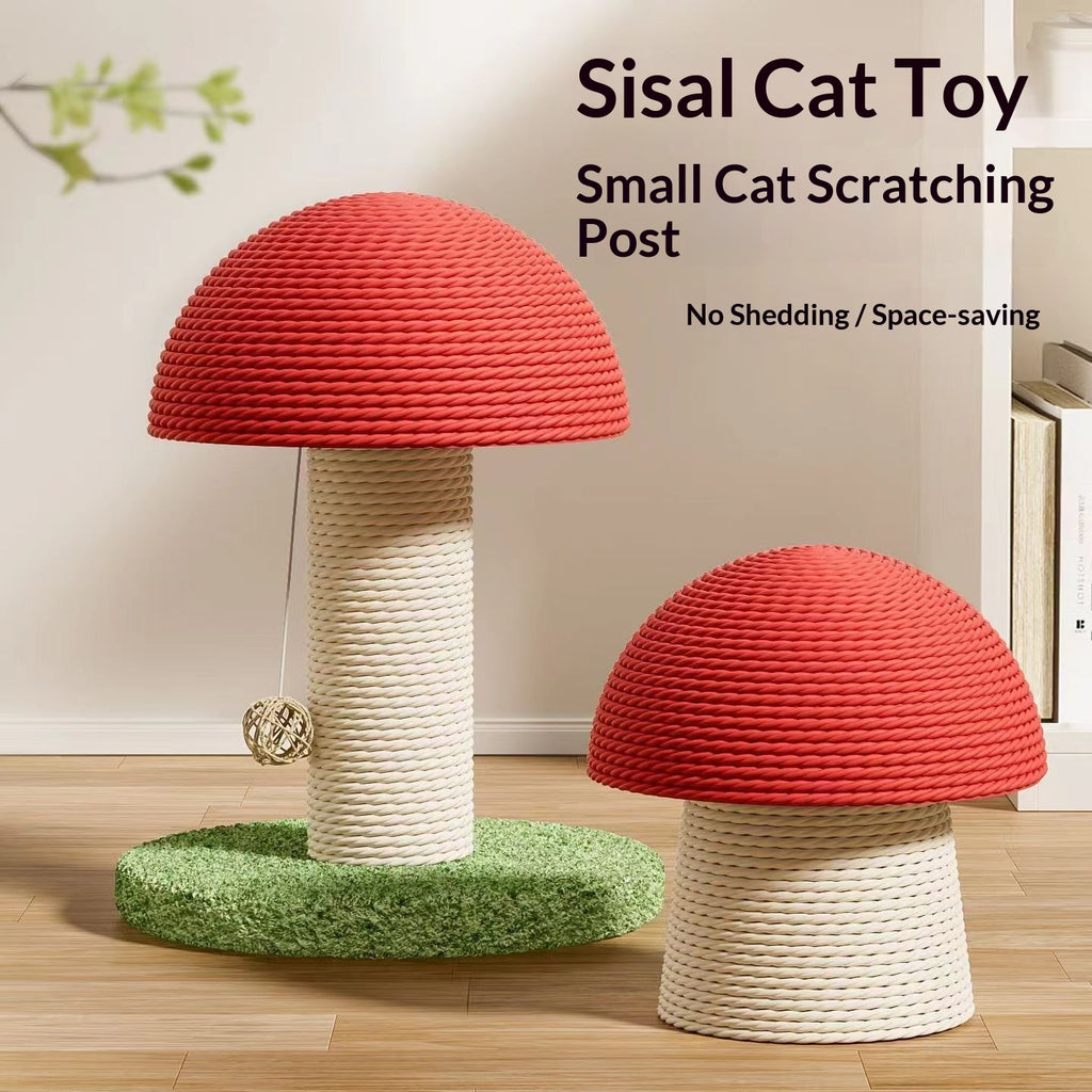 Jouet de chat de chat de champignons rouges
