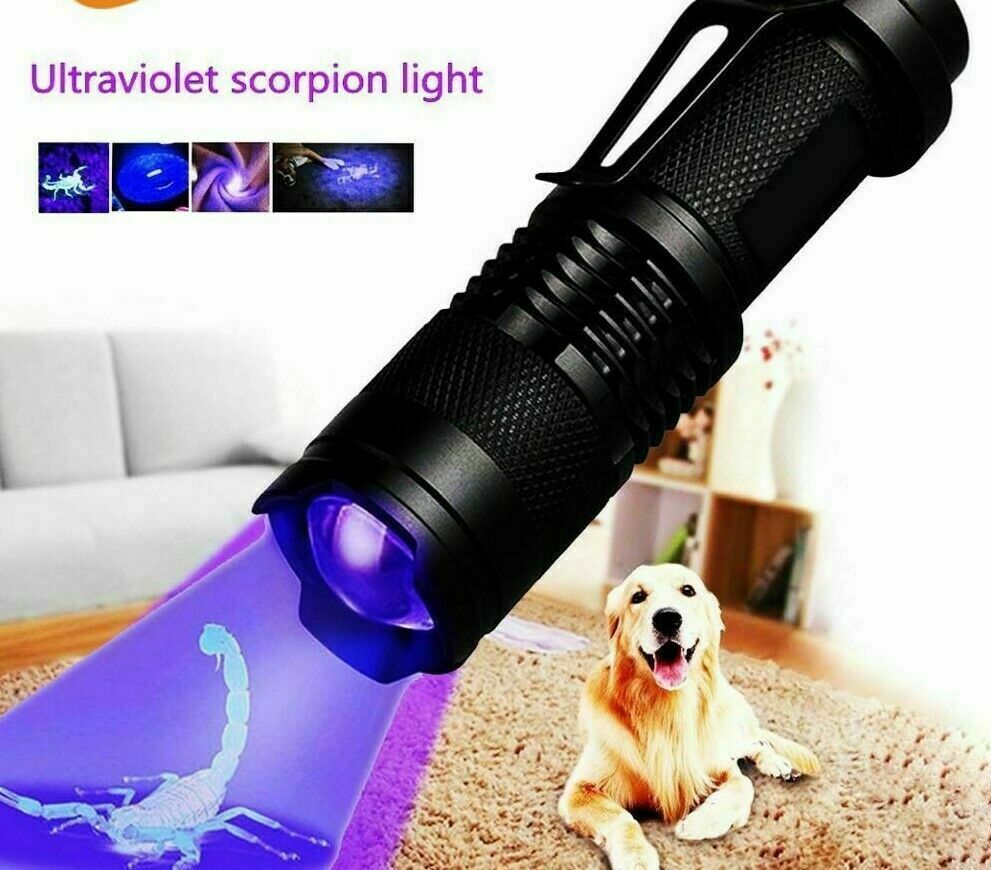 Lampe de poche UV Ultra Violet Lampe de poche portatif Petite lampe de poche 395nm Mini lumière Inspectio