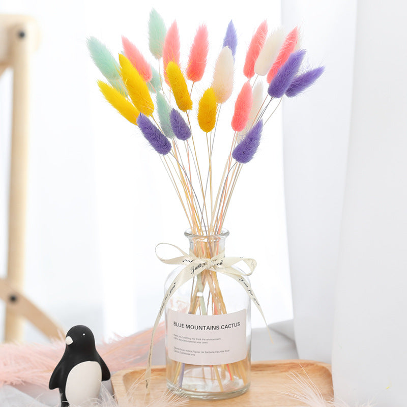 Accueil Décoration Ornements - Bouquet de fleurs séchées à l'herbe de lapin