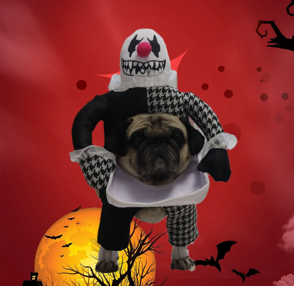 Costume d'Halloween pour animaux de compagnie Photo Props Demon Transformation