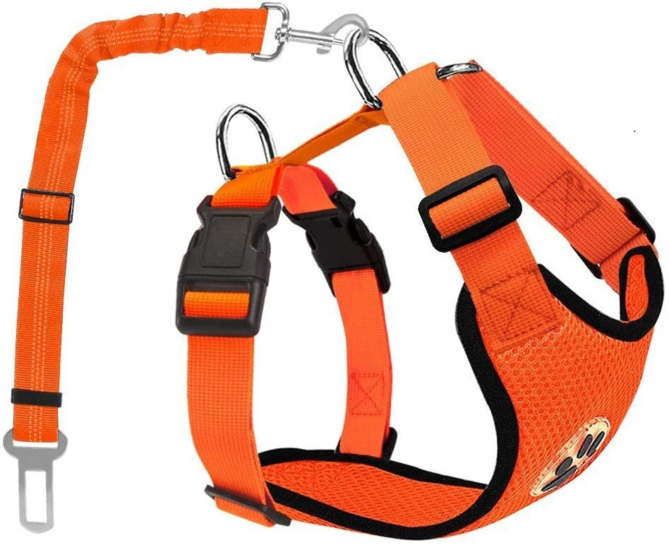 Pet Supplies Amazon Meilleure vente de chien laisse
