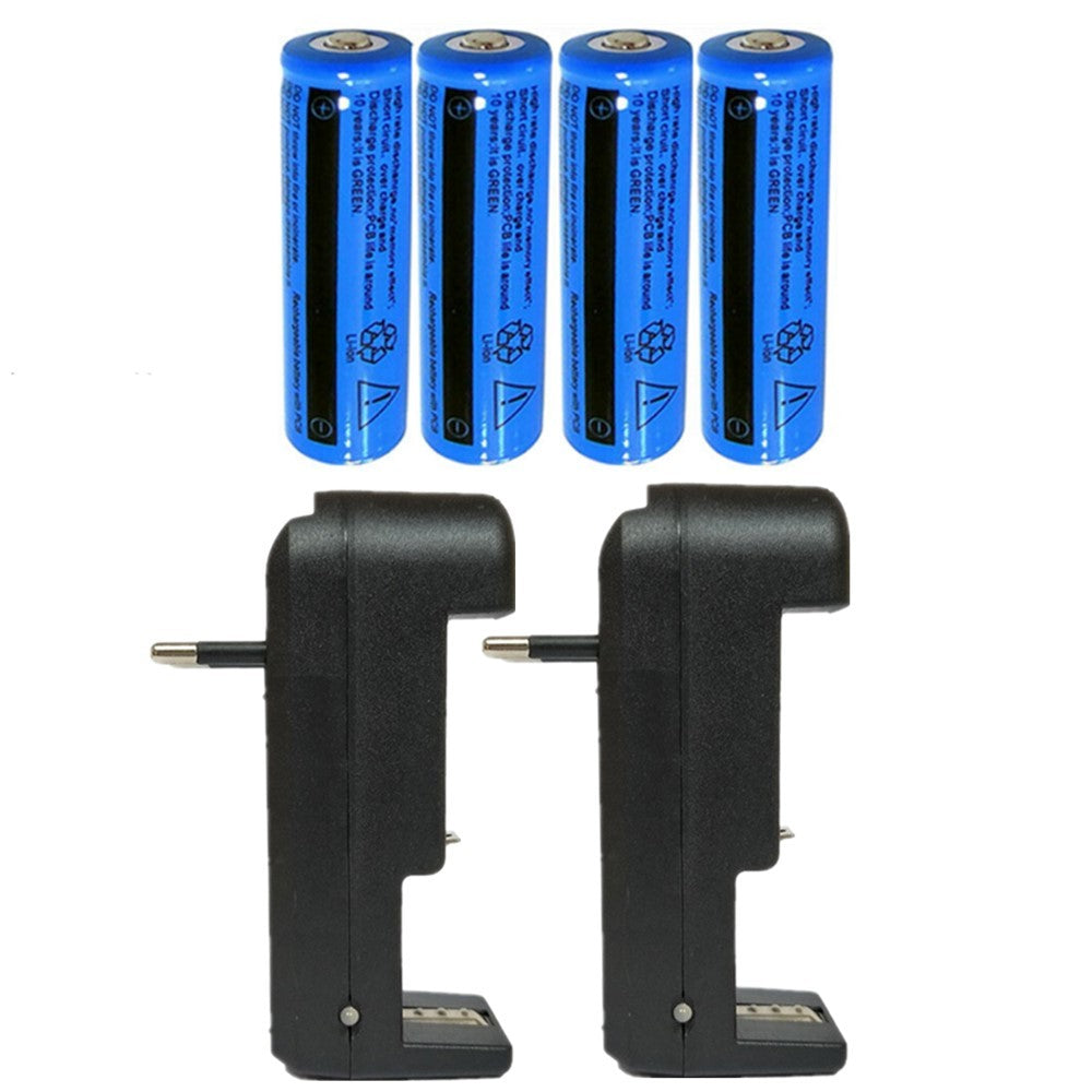Chargeur de batterie avec batteries Li-ion 18650 3.7V 3000 mAh