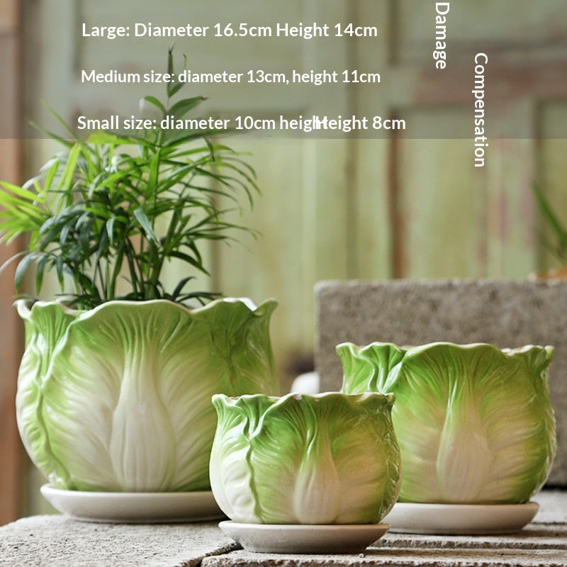Grand pot de fleurs intérieure personnalisée avec TrayMinimalist DesignParfait pour les suceurs