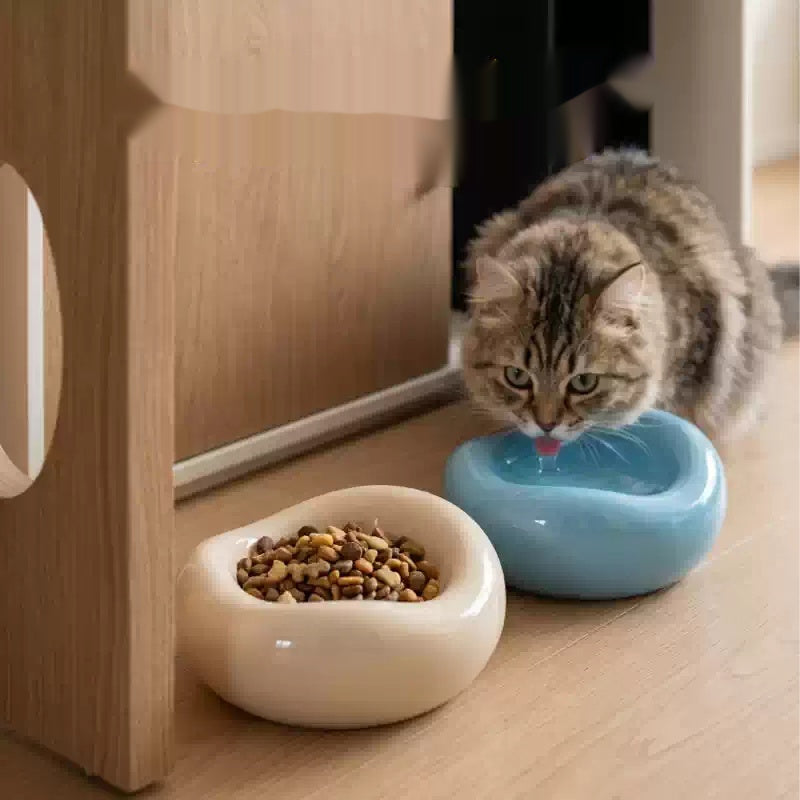 Céramique Conseil-Proof Cat Food Bowl