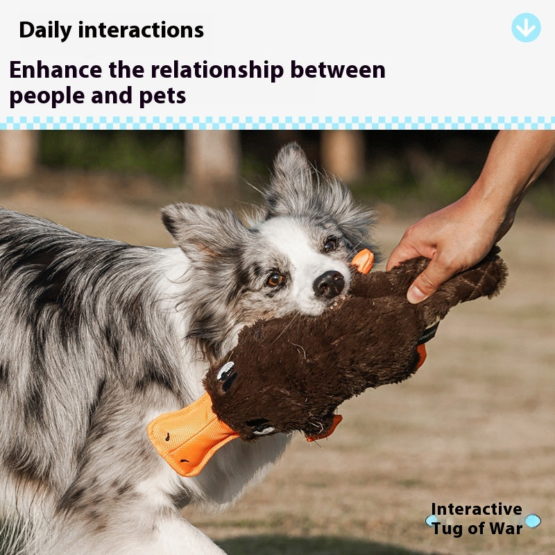 Simulation Platypus peut appeler les chiens en peluche