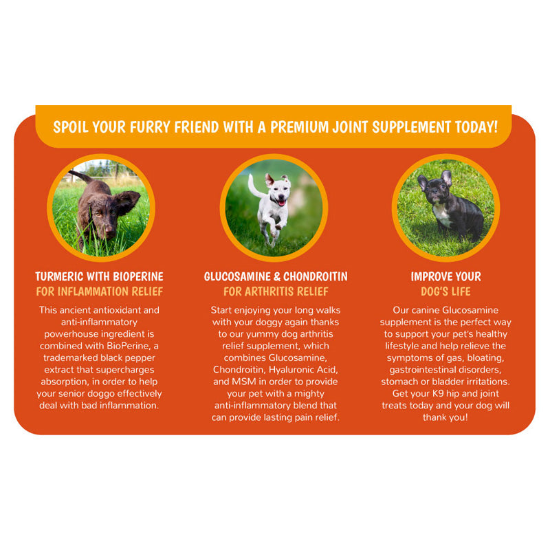 Suppléments pour chiens et chats avec de la glucosamine