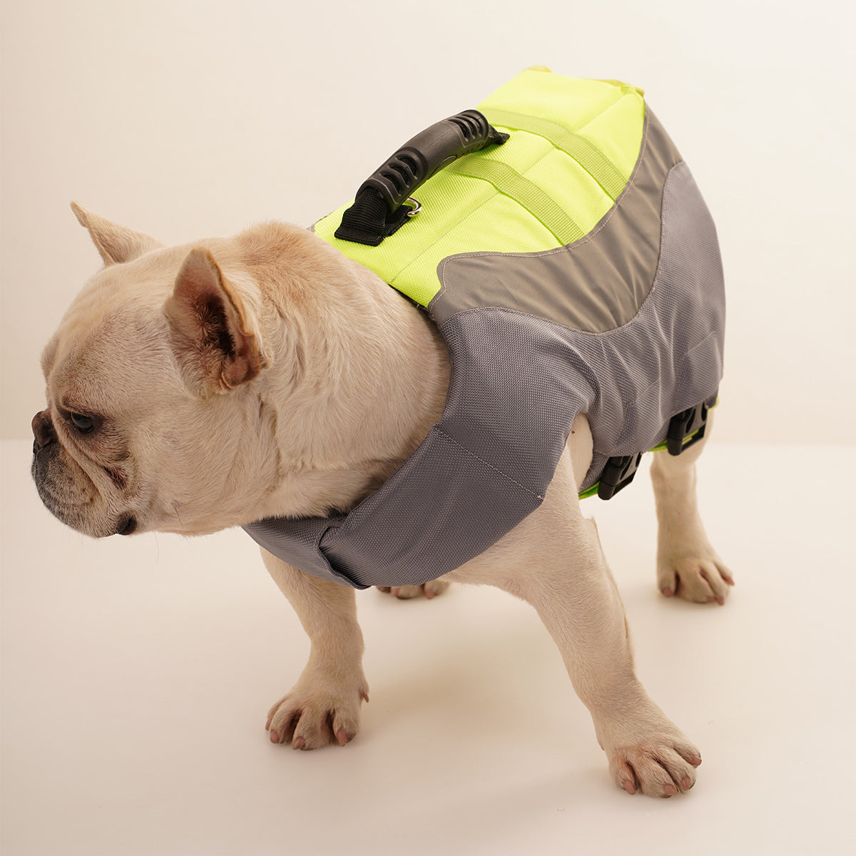 Maillot de bain de chien réfléchissant Veste de vie