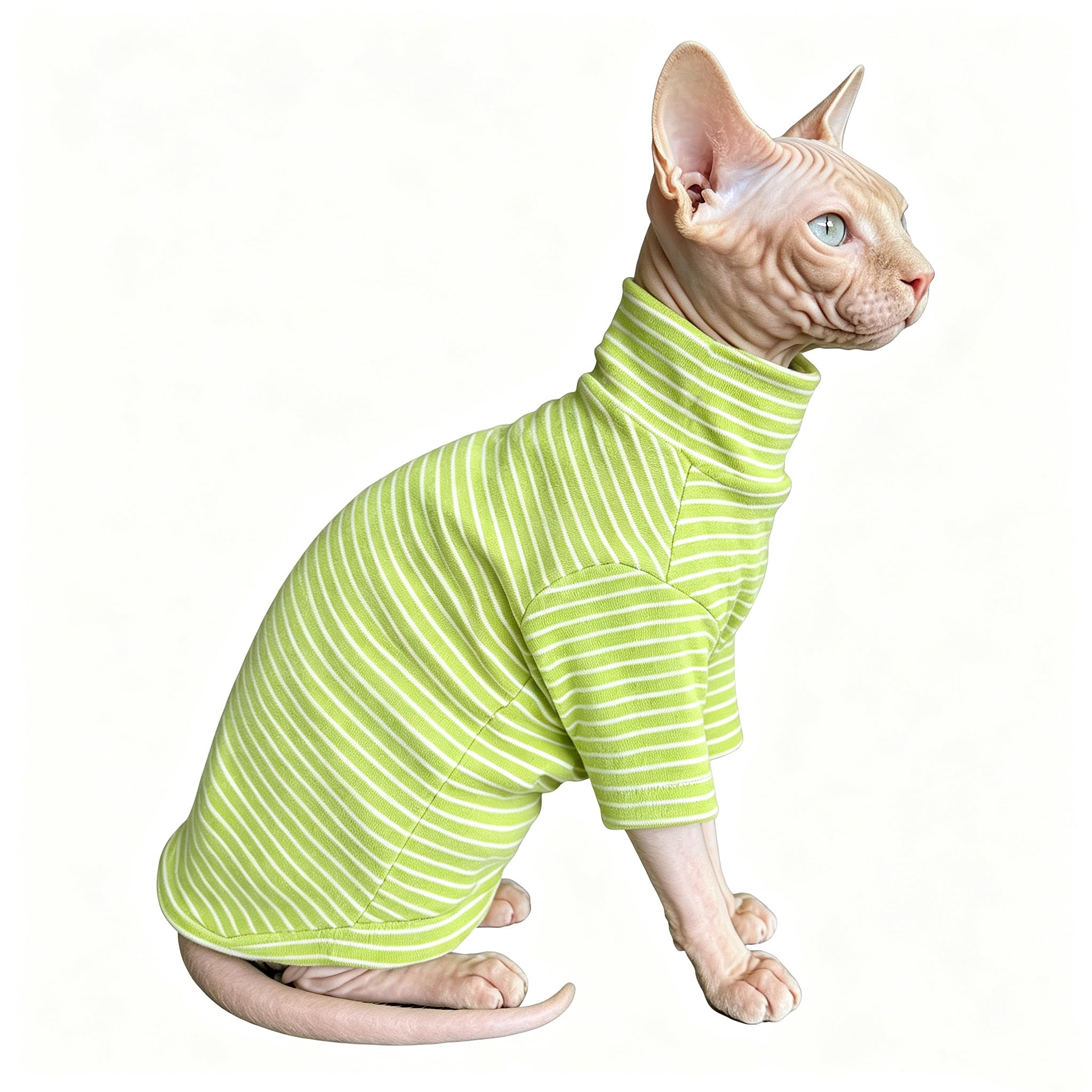 Vêtements de chat pour chats uniquement