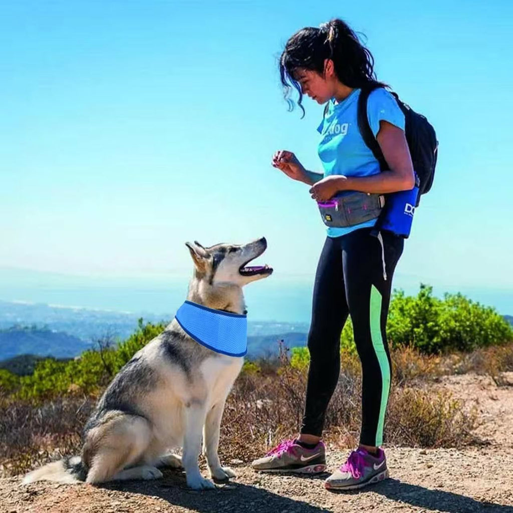 Écharpe respirante de refroidissement solaire pour animaux de compagnie