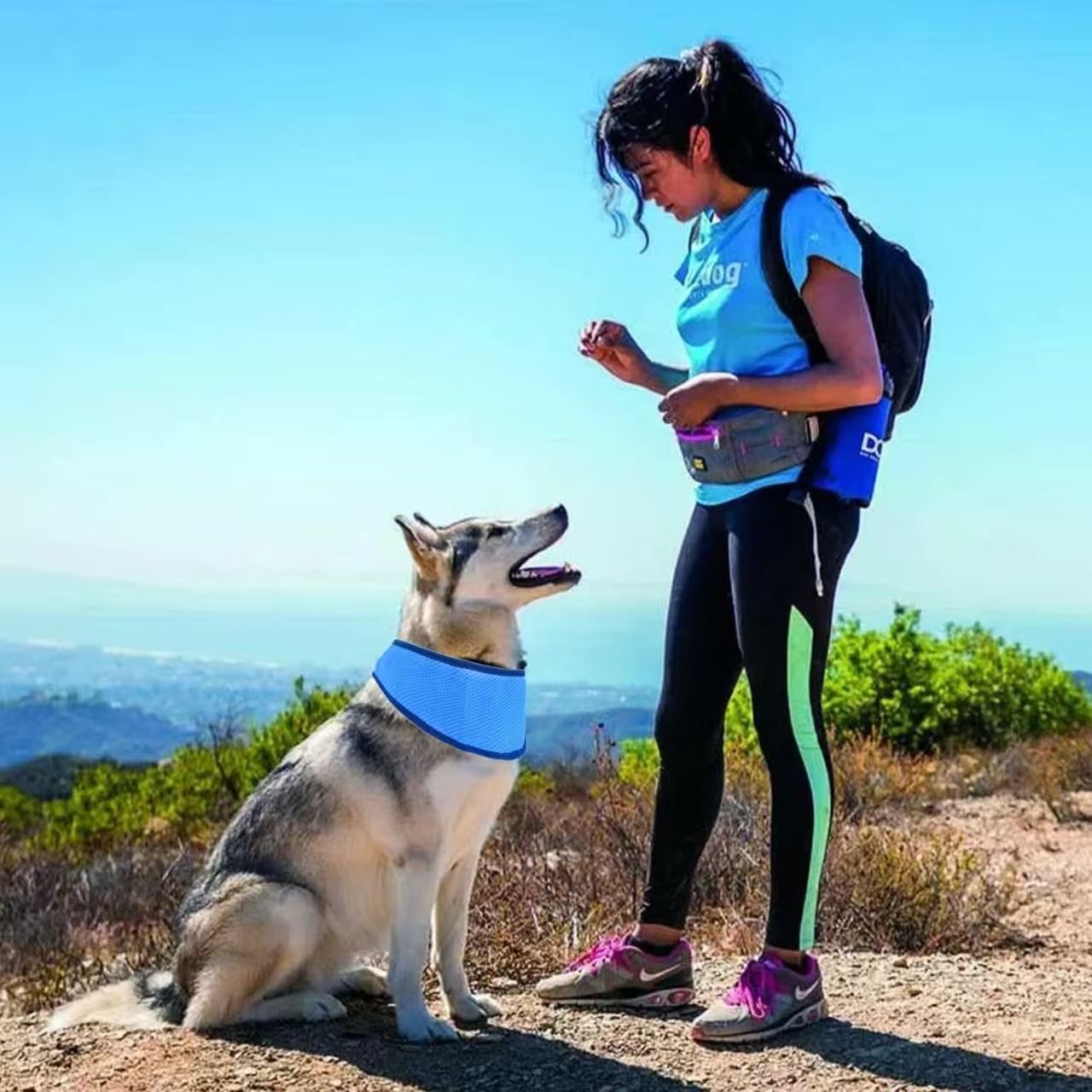 Écharpe respirante de refroidissement solaire pour animaux de compagnie