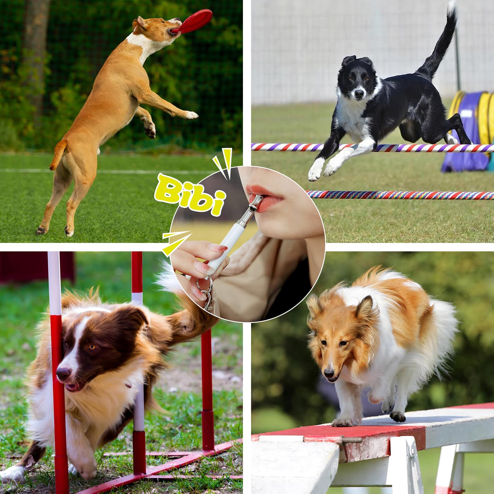 Whistle de chien 2 Pack