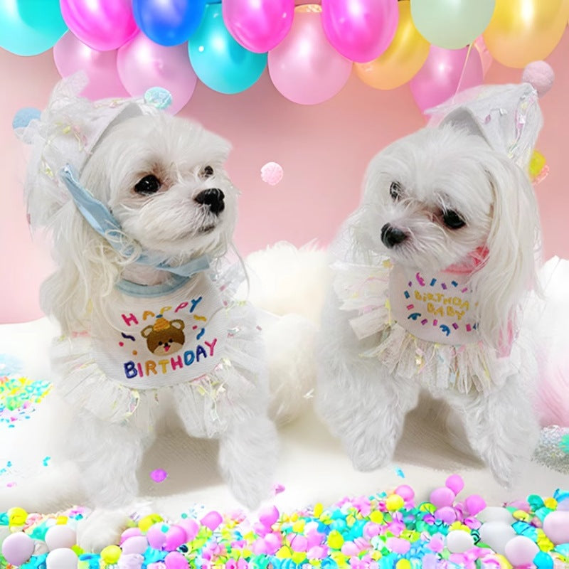 Chapeau de fête et écharpe pour chats et chiens