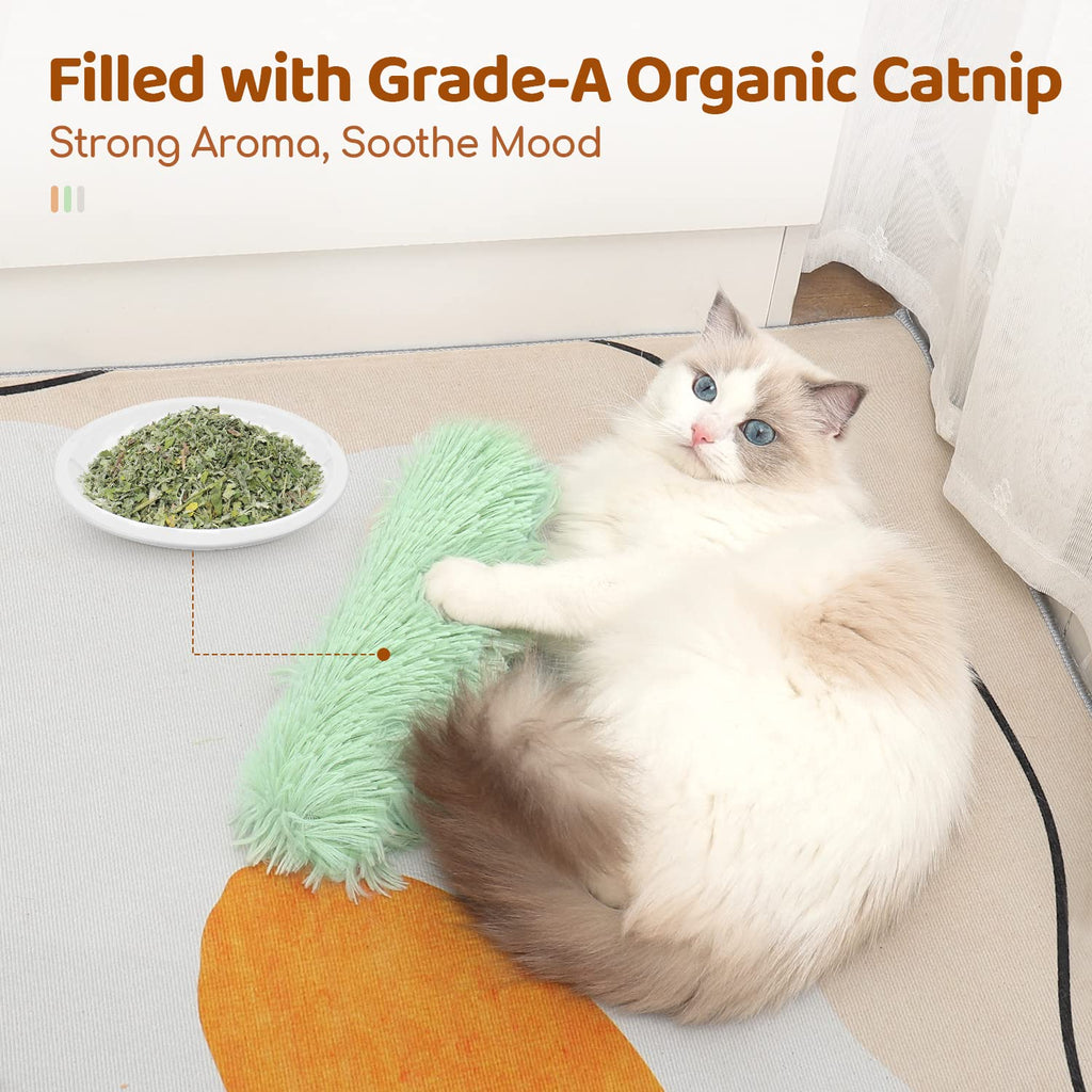 Jouets de chat Oreillers