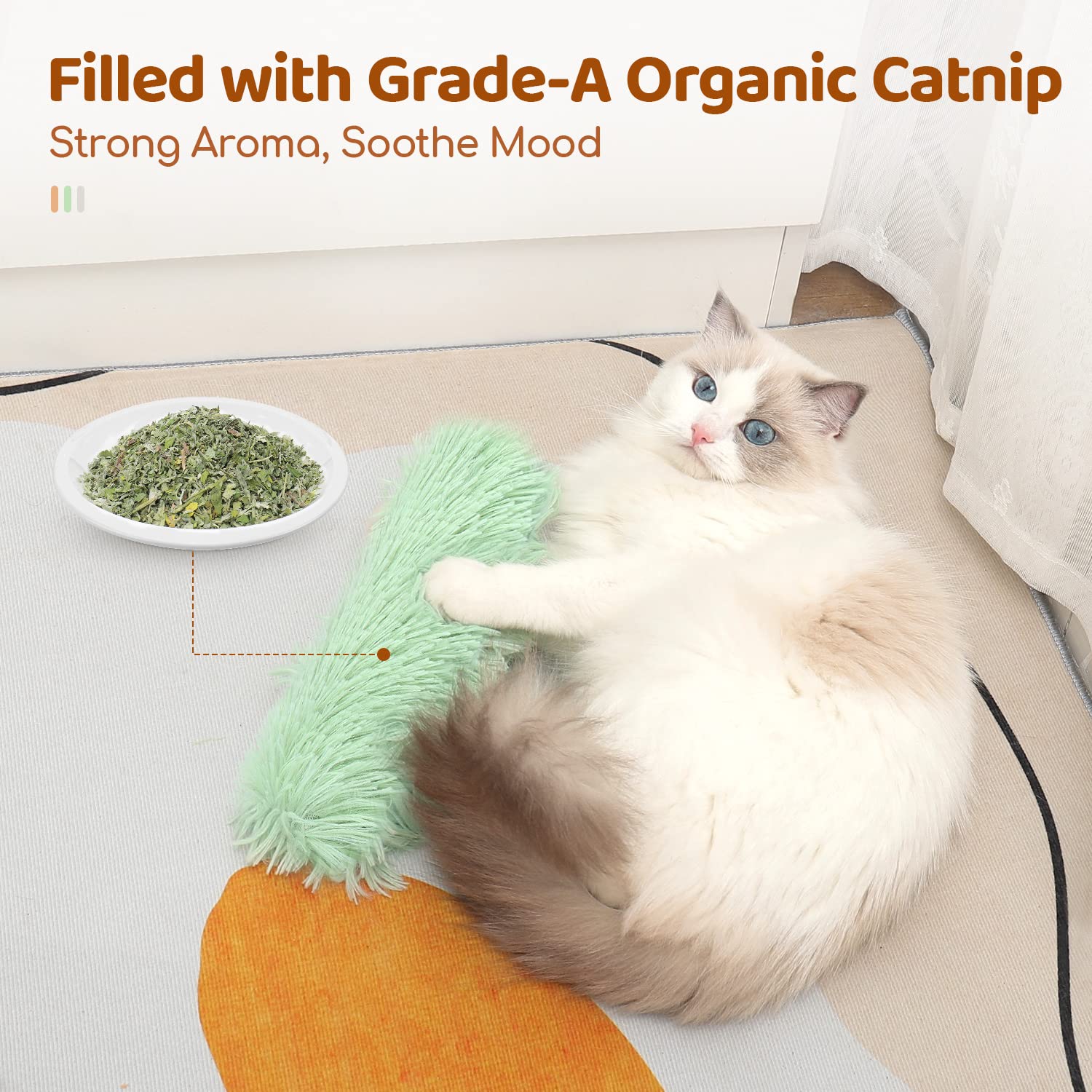 Jouets de chat Oreillers