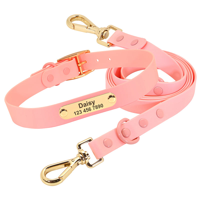 Col laisse chien moyen Teddy