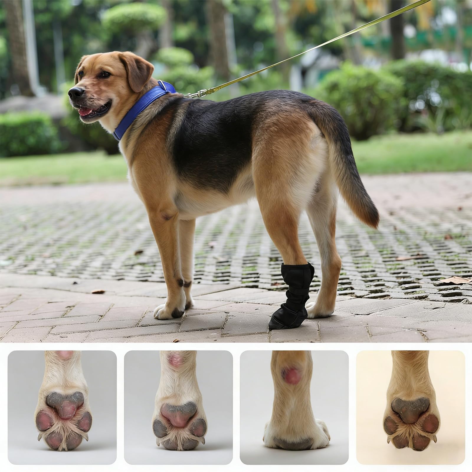 Botte de récupération de chien pour les pattes blessées - Chaussures de chien respirant avec semelle antidérapante et auto-adhesi