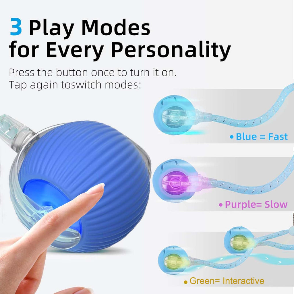 Jouets interactifs pour chats de queue pour chats d'intérieur