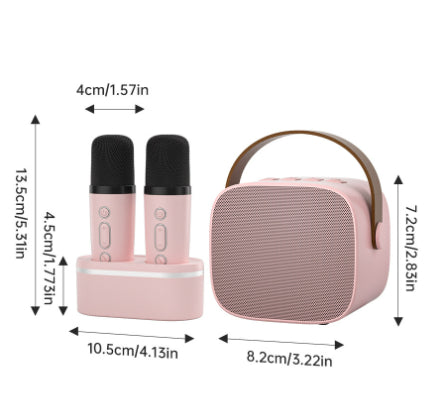 Ensemble Microphone de chant familial