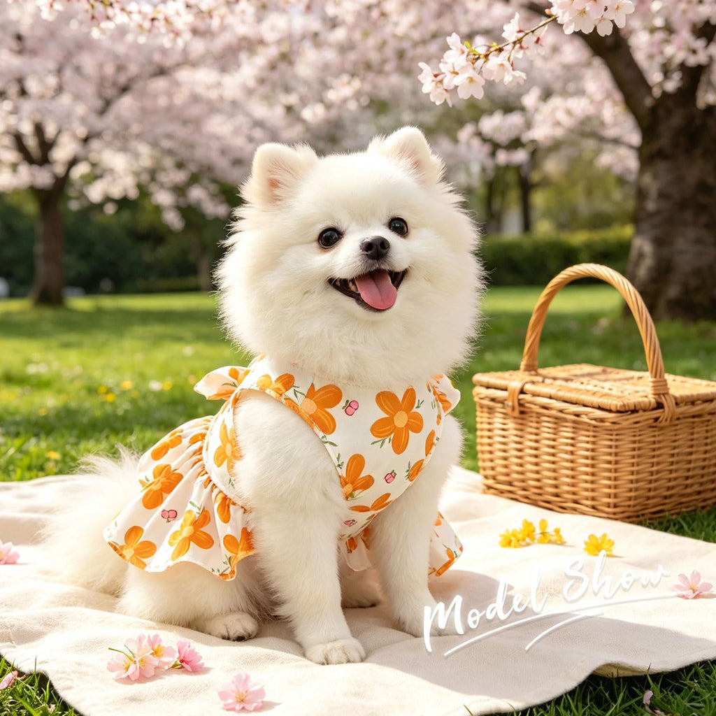 2Pack Robe de Harness pour Petit Chien pour Fille Robe de chat chiot avec motif de fleur Bow réglable
