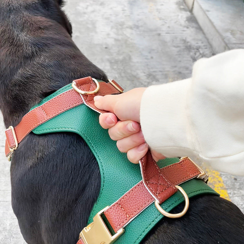 Harnais et laisse en cuir de luxe pour chien