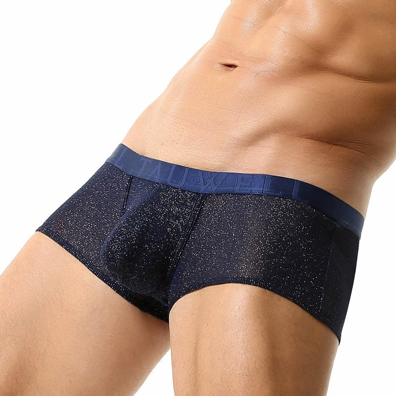 Sous-vêtements pour hommes Low Waist Sexy Mesh U Convex Boxers pour hommes Sous-vêtements pour hommes brillants