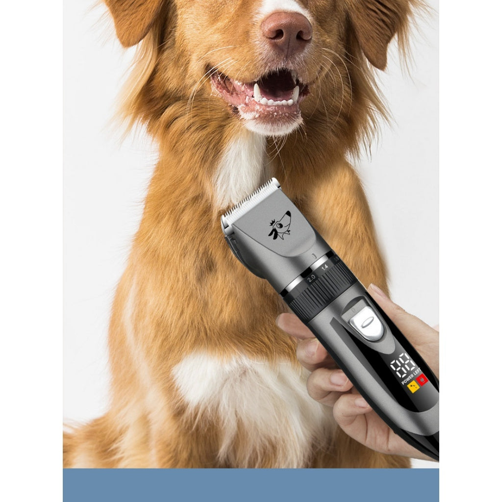 Clipper professionnel de grooming pour chiens.