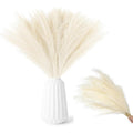 20 Pampas beige décor d'herbe